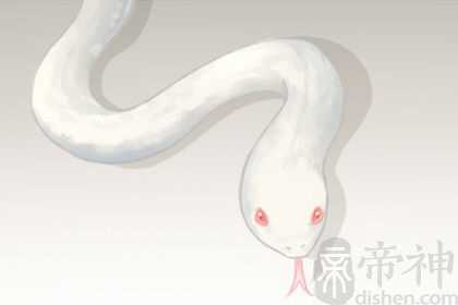 梦到被双头蛇咬预示着什么