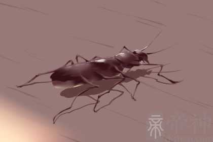 梦到有虫子钻进身体里预示着什么