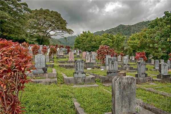 看到坟墓的反应测出你的人际关系