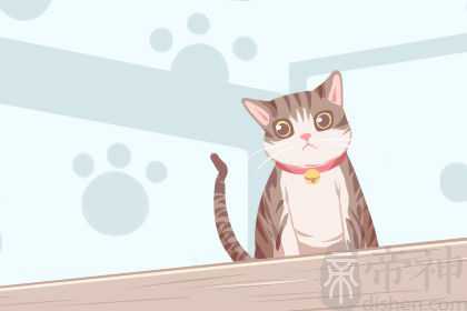 梦见小猫死了是怎么回事