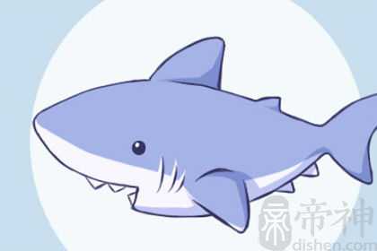 梦到鲨鱼咬我的手预示着什么