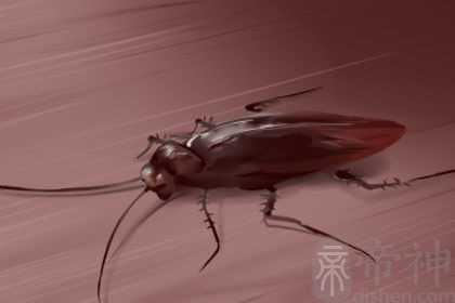 梦到好多蟑螂怎么都打不死预示着什么