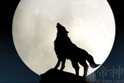 梦到一只狼追我是什么意思