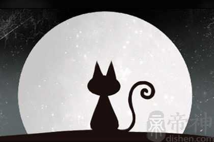 梦见两只可爱的小猫 预示什么