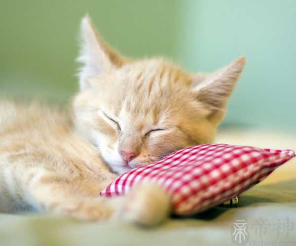 梦见参加别人的婚礼庆典 揭秘其寓意解梦大全