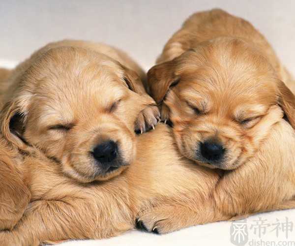 梦见死人出殡的场面 预示着什么征兆