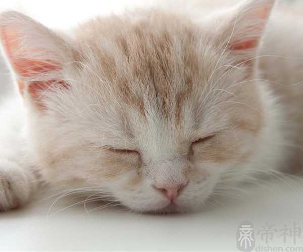 梦见墓碑是什么意思 暗示幸福生活即将到来