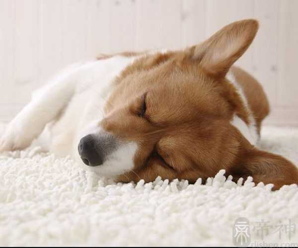 梦见墓地是什么意思 可能预示着做事要谨慎