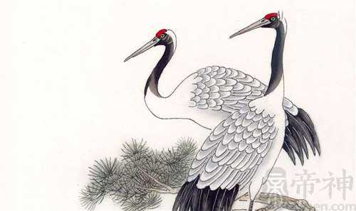 梦见仙鹤是什么意思 仙鹤成双成对表示夫妻恩爱