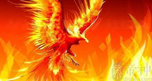 梦见凤凰什么意思 将有好事降临