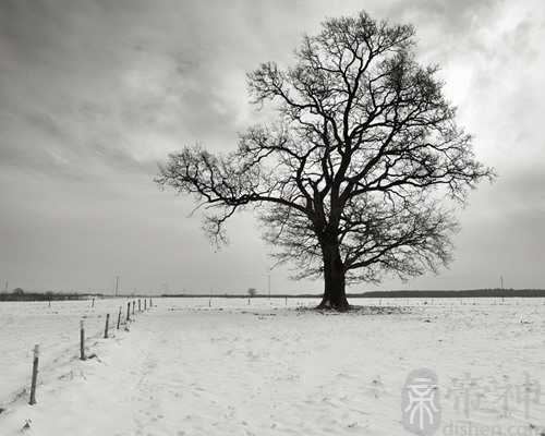 做梦梦见小孩拉屎 这是不是预示着将要发生什么