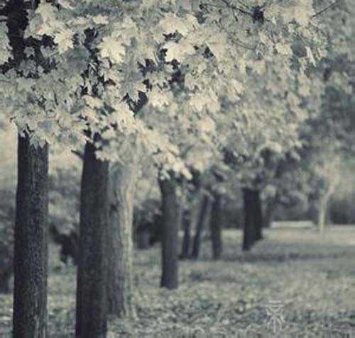 梦见妈妈去世自己大哭 是不是预示着什么不好的事情