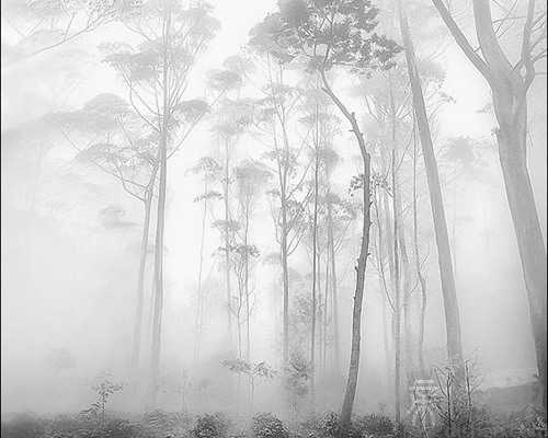 梦见车窗玻璃碎了 多象征财富和魅力