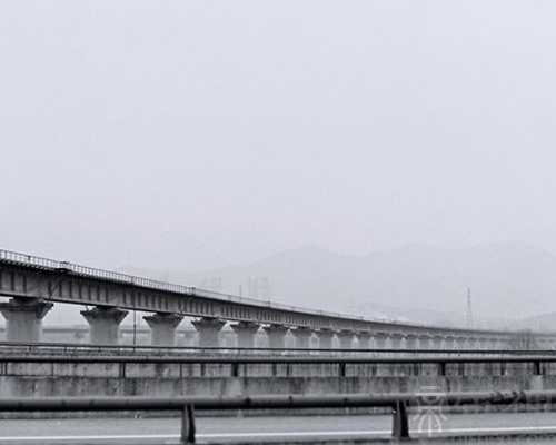 孕妇梦见狗熊是什么意思 是不是隐含着宝宝健康