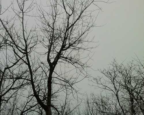 梦见卖水果是什么意思 通常预示着生活舒适幸福