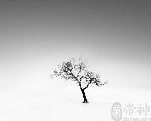 梦见赶鸭子是什么意思 可能预示最近有财运