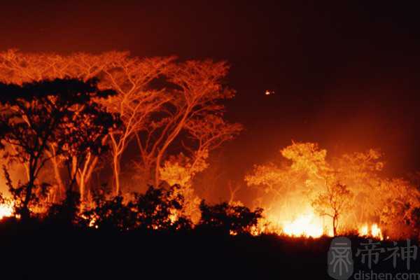梦到房子着火什么意思 预示最近做事要小心谨慎