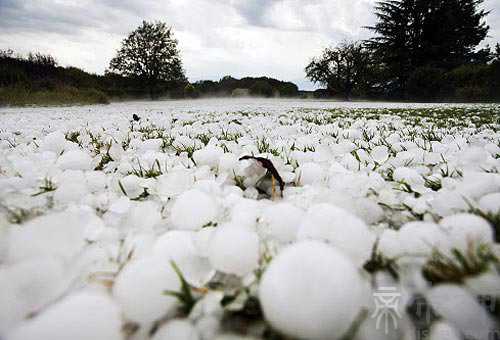 做梦梦到下冰雹 预示会失望或遭到打击