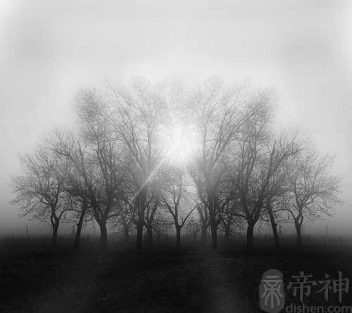 梦见很多麻雀死了 揭秘其中吉凶