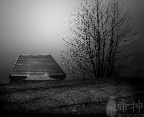 孕妇梦见狗咬自己 预示生男孩还是女孩