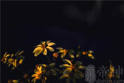 朱砂放枕头下面的讲究是什么 佩戴禁忌