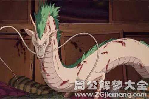 梦见自己变成白龙