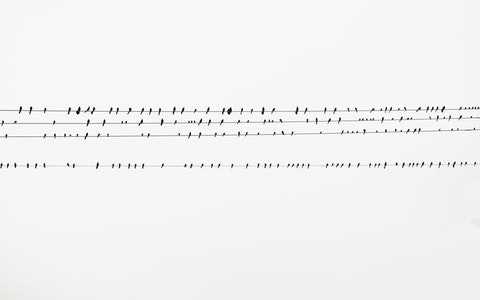 姓名中的“三才”指什么？好名字需要三才齐备！