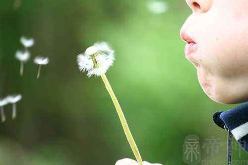 梦见爸爸有私生子