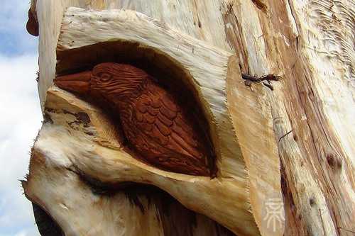 梦见爸爸是木匠干活