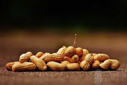 梦见和爸爸一起种花生