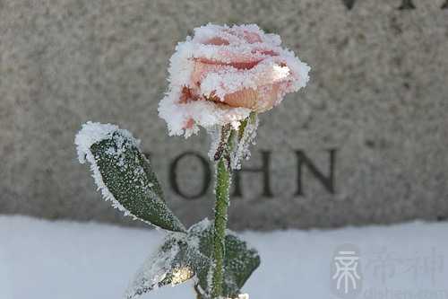 梦见死的爸爸老跟着我