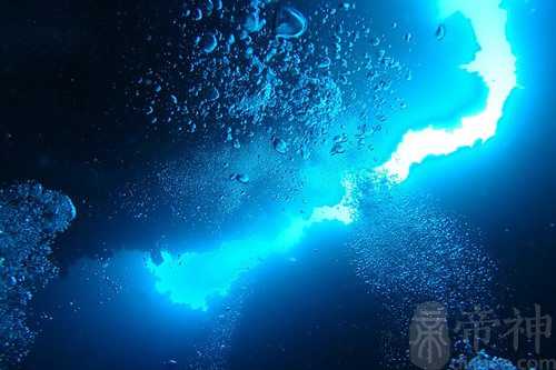 梦见爸爸从高处跳下水