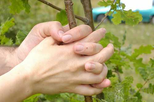 梦见爸爸手指拇流血