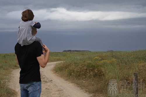 梦见给爸爸买饼干