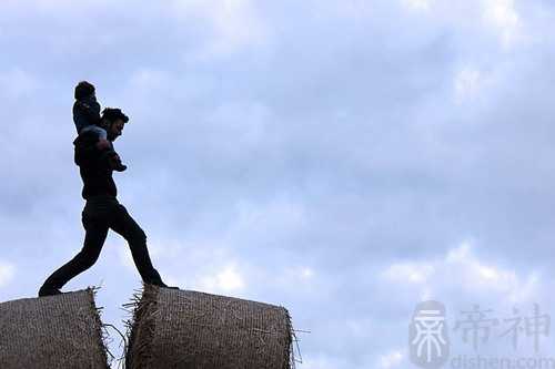 梦见和爸爸在地里拔草