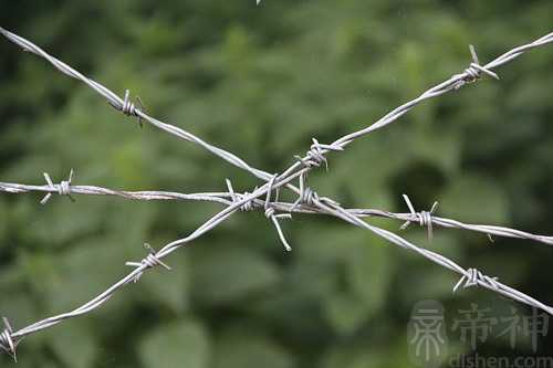 梦见爸爸在监狱里