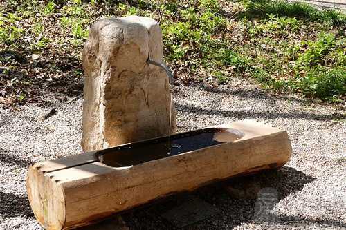 梦见爸爸看井水