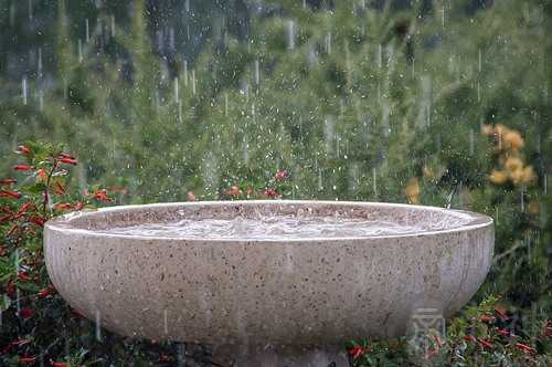 梦见爸爸把我扔进水盆里