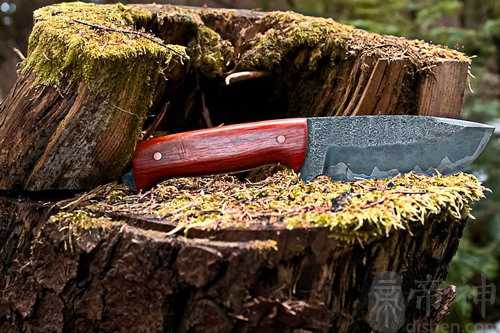 梦见爸爸拿刀和别人打架