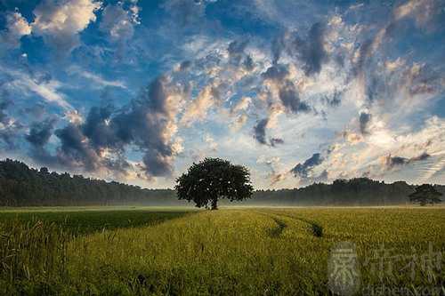 梦见爸爸把地也卖了