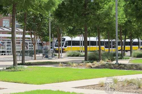 梦见爸爸帮我搬家