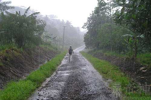 梦见爸爸在大雨中
