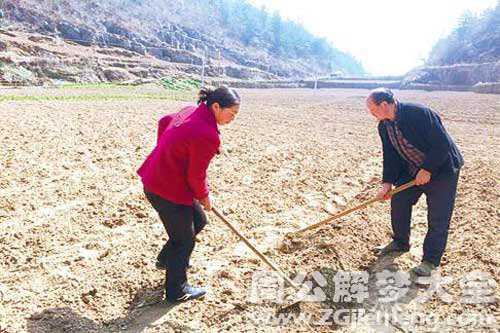 孕妇梦见自己在挖地