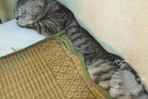 孕妇梦见掉下床