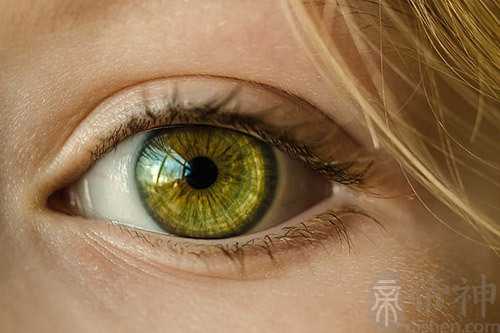梦见别人的眼睛