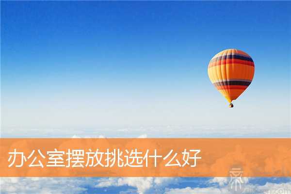 办公室摆放挑选什么好
