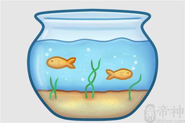 家宅风水鱼缸讲究什么