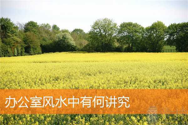 办公室风水中有何讲究
