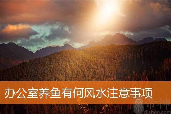 办公室养鱼有何风水注意事项