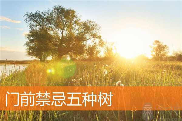 门前禁忌五种树